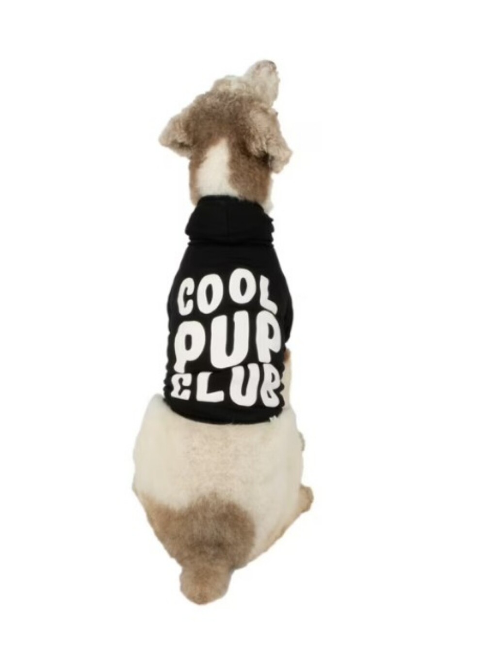 Cool Pup Club Black Dog Hoodie